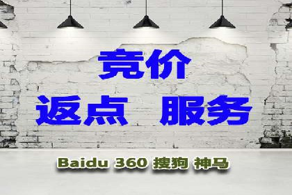 百度SEO推广成功案例：品牌知名度提升